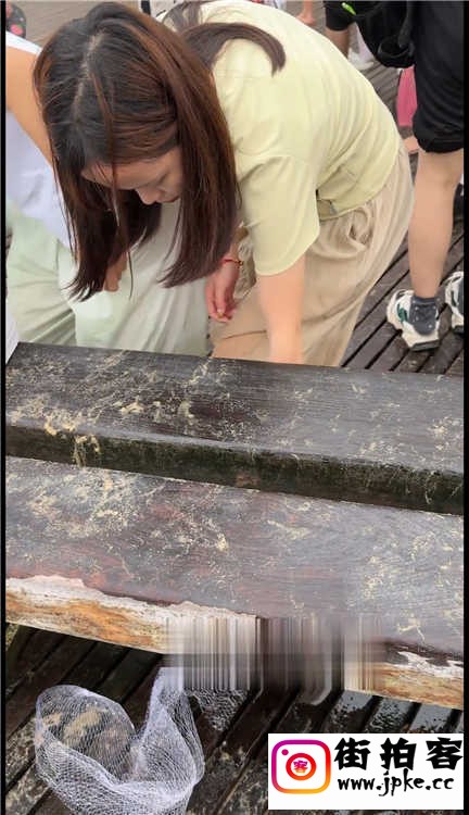 序列 025.mp4_20250804_140253.653.jpg